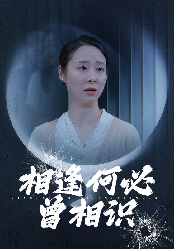 Poster Drama 相逢何必曾相识