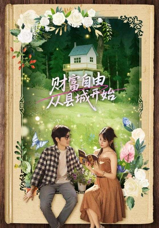 Poster Drama 财富自由从县城开始