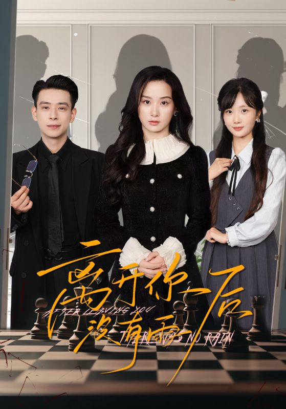 Poster Drama 离开你后没有雨
