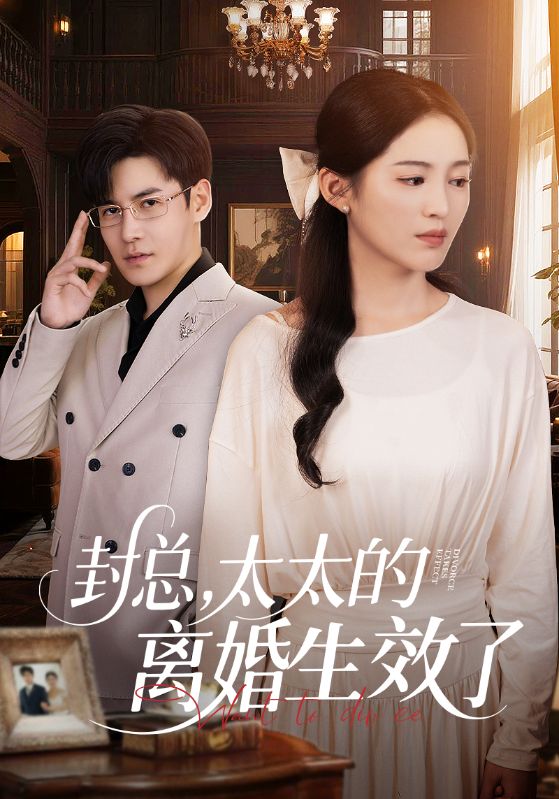 Poster Drama 封总，太太的离婚生效了