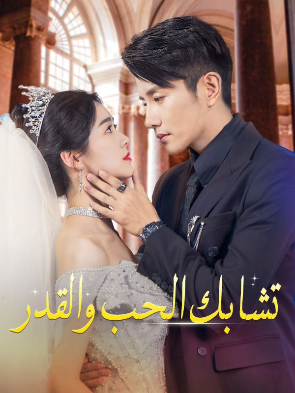 تشابك الحب والقدر (مدبلج)
