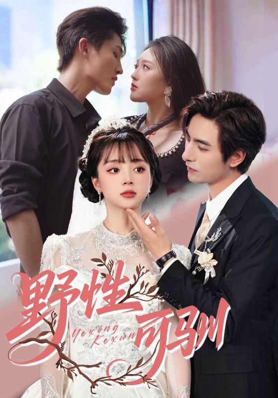 Poster Drama 野性可驯
