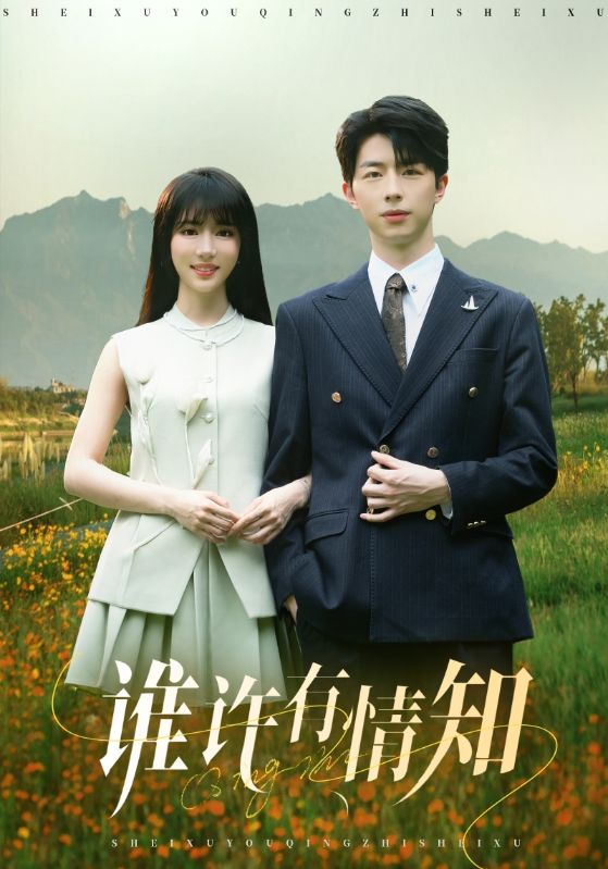 Poster Drama 谁许有情知