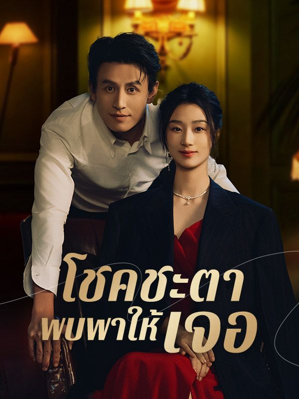 โชคชะตาพบพาให้เจอ(พากย์ไทย)